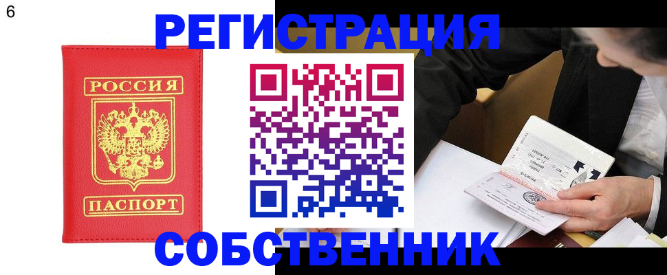 временная регистрация поиск в Долгопрудном